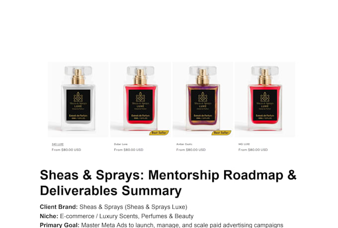 provide 1 on 1 meta ads coaching, mentoring and consulting
